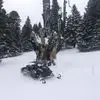 Michel Chatelain - @michel.chatelain1 - TikTok