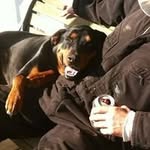 Michael Chavis - @horsemanmc57 - Instagram