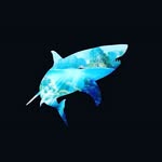 Michael Chavis - @michael.chavis.1800 - Instagram