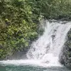 AKC88 SHOP - @michaelchen6733 - TikTok