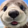 Michael Chen - @michael.chen0216 - TikTok