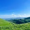 michael chen - @cc15250360362 - TikTok