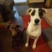 Michael Cherico - Facebook