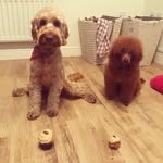Michaelchesworth - @michael_chez_boi - Instagram