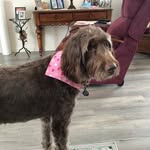 Carol Chick - @michaelchick.sr - Instagram