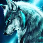 Michael Chinchilla - @michael_1432890 - Instagram