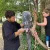 michaelchipman333 - @michaelchipman333 - TikTok