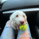 Michael chivers - @ch1v3rs10 - Instagram