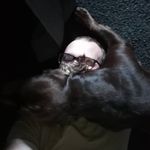 Michael Chivers - @mchiver56 - Instagram