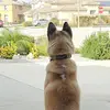 michaelcho23 - @michael.cho5 - TikTok