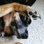 Michael Chunko - @therealchunko - Instagram