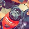 Michael Ciaccio - @mciaccio22 - TikTok