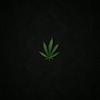 michael_cialdella - @michael_cialdella - TikTok
