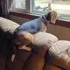 michaelciancio882 - @michaelciancio882 - TikTok