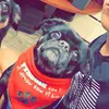 Michael Ciaccio - @mciaccio22 - TikTok