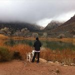 Michael Cira - @lularoelaceymichael - Instagram