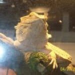 Michael Clanton - @clanton6698 - Instagram