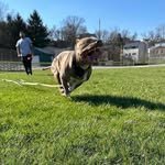Michael Clanton - @mc_clap_yo_hands264 - Instagram
