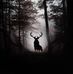Michael Clapp - Facebook
