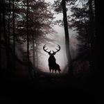 Michael Clapp - @mclapp3 - Instagram