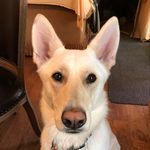 Michael Clapp - @thezoobeast - Instagram