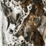 Michael Clapp - @m_clapp - Instagram