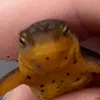 Michael Clapper - @michael.clapper - TikTok