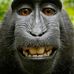 Michael Clark - Facebook