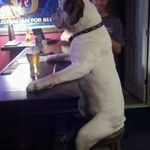 Michael Click-Affiliate - @michaelclickaffiliate - Instagram