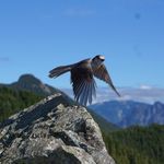Michael Clooney - @sir.mick - Instagram