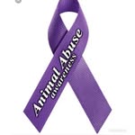 Michael Clow - @animalneglectawareness - Instagram