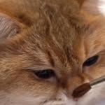 Michael Scott Cluck - @narto_19728_mine - Instagram