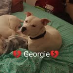 Michael Clugston - @michaelclugston - Instagram