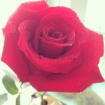 @michael_coco - Instagram