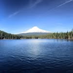 Michael Coda - @michael.coda.7 - Instagram