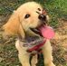 Michael Cohen - Facebook