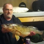 Michael Colford - Facebook