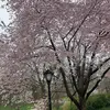 michael_collier0 - @michael_collier0 - TikTok