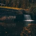 Michael Collier - @michaelcolliermedia - Instagram