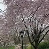 michael_collier0 - @michael_collier0 - TikTok