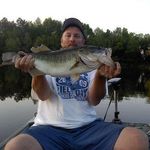 Michael Collier - @michael_collier_ - Instagram