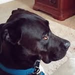 Michael Collier - @collier1124 - Instagram