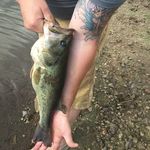 Michael Combe - @combe_michael - Instagram