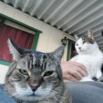 Michael David Combe - @mikecombe - Instagram