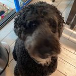 Michael Como - @michael.como888 - Instagram