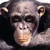 Michael Condliffe - @michaelcondliffe8 - TikTok