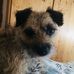 Michael Connett - Facebook