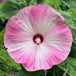 Michael Conover - @michaels_nature_ography - Instagram