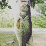 Michael coolidge - @michael_fishing13 - Instagram
