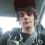 michael coomes - @michaelbeescoomes - Instagram